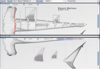 3D Fish editor - Top view and texture view of the Hammerhead Shark model